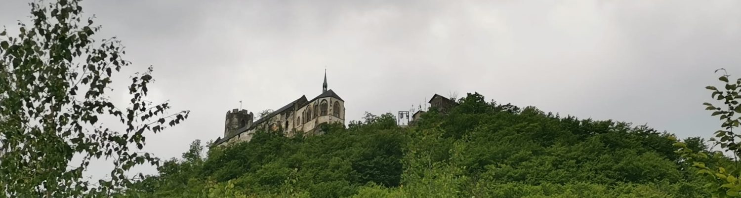SPCCH v ČR, z.s. 